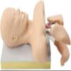 AYGJKIE Intubation Manikin Airway Management Trainer Training Manikin Intubation Head Teaching Study Model Manikin view 4