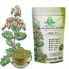 100g Kalanchoe Pinnata Leaves Powder - Healthly Natural Leaves Powder -Cultivated from Sri Lanka and Gluten Free- 100% Pure, Premium Quality - Herbal Tea view 4