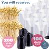 100 Clear Disposable Plastic Martini Glasses for Parties + 200 Cocktail Picks Bundle view 2