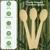 ECOLipak 300 Count Disposable Compostable Bamboo Spoons for Party, Dinner view 3