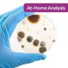 Premium Mold Test Kit (6 Rooms/Plates) Protect Your Home and Family with The Most Accurate DIY Mold Detection, Lab-Grade Plates, UV-Proof Storage, Expert Lab Analysis, and Satisfaction Guarantee view 4