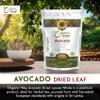 Organic Way Avocado Dried leaves Whole | Herbal Tea | European Wild-Harvest | USDA Certified - Non GMO & Gluten Free | Origin - Sri-Lanka (1Lb 16Oz) view 2
