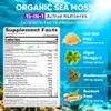 2 Pack Sea Moss Gummies for Men Women, Vegan 15-IN-1 Irish Seamoss Superfood with/Bladderwrack & Burdock Root, Turmeric, Elderberry, Vitamins B12 D3, EPA DHA, Sugar-Free, Support Energy, Brain, Immune view 2