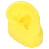 Silicone Ear Model Statue for Acupuncture Simulation Training Medium Yellow Cylinder M Size Left Ear Display Stand for Students and Practitioners view 2