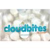 Cloudbites | Toasters | Individually Wrapped Marshmallows | BULK BOX | Great for S'mores or snacks (BULK BOX x 500 units) view 1