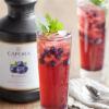 Capora Blueberry Flavoring Sauce 64 fl. oz. - 6 Pieces WS-513SAUBLBERRY-NPF view 2