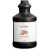 FixtureDisplays Capora Salted Caramel Flavoring Sauce 64 Fluid ounce WS-999SAUSLCARM-NF view 1