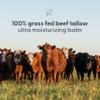 100% Grass Fed Beef Tallow for Skin, Body and Face | Moisturizing Honey Balm Scented with Cinnamon, Rosemary, Peppermint and Clove Bud Essential Oils | Suitable For Dry & Irritated Skin, 2 oz (57g) view 3