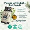 VINATURA Hydroxytyrosol Supplement, Olive Leaf Extract - 40% Hydroxytyrosol Olive Fruit Extract, 10% Oleuropein Olive Leaf Extract Capsules - 60 Capsules view 4