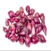 Fresh Red Shallot by RawJoy Farms view 1