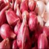 Fresh Red Shallot by RawJoy Farms view 2