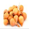 Fresh Yellow Shallots by RawJoy Farms view 1