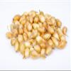 Fresh Yellow Shallots by RawJoy Farms view 2