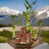 Lucky Bamboo 20 Stalks of Pure Luck, Free Butterfly Stake, No Green Thumb Required! Just add Water, Indoor Perennial Plants, Ideal Gift, Feng Shui view 3