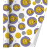 Sesame Street Vintage Big Bird Gift Wrap Wrapping Paper Roll view 1