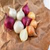 Kejora Fresh Boiler Onions/Boiling Onions 3 LB (TriColor, Onion) view 2