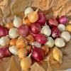 Kejora Fresh Boiler Onions/Boiling Onions 3 LB (TriColor, Onion) view 3