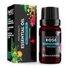 Rose (Rosa damascena) 100% Pure Essential Oil, Select Grade, 10ml view 1
