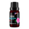Rose (Rosa damascena) 100% Pure Essential Oil, Select Grade, 10ml view 3