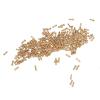 200Pcs 2.0x1.4mm Gold Plated Glasses Repair Screws Stainless Steel Small Flat Head Eyeglasses Screws Kit view 2