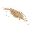 200Pcs 2.0x1.4mm Gold Plated Glasses Repair Screws Stainless Steel Small Flat Head Eyeglasses Screws Kit view 3