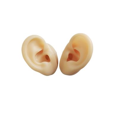 2pcs ASMR Sleep Aid Soft Silicone Ear Model Broadcast Ear Props Ear Picking Silicone Ear Model Stud Ear Jewellery Display