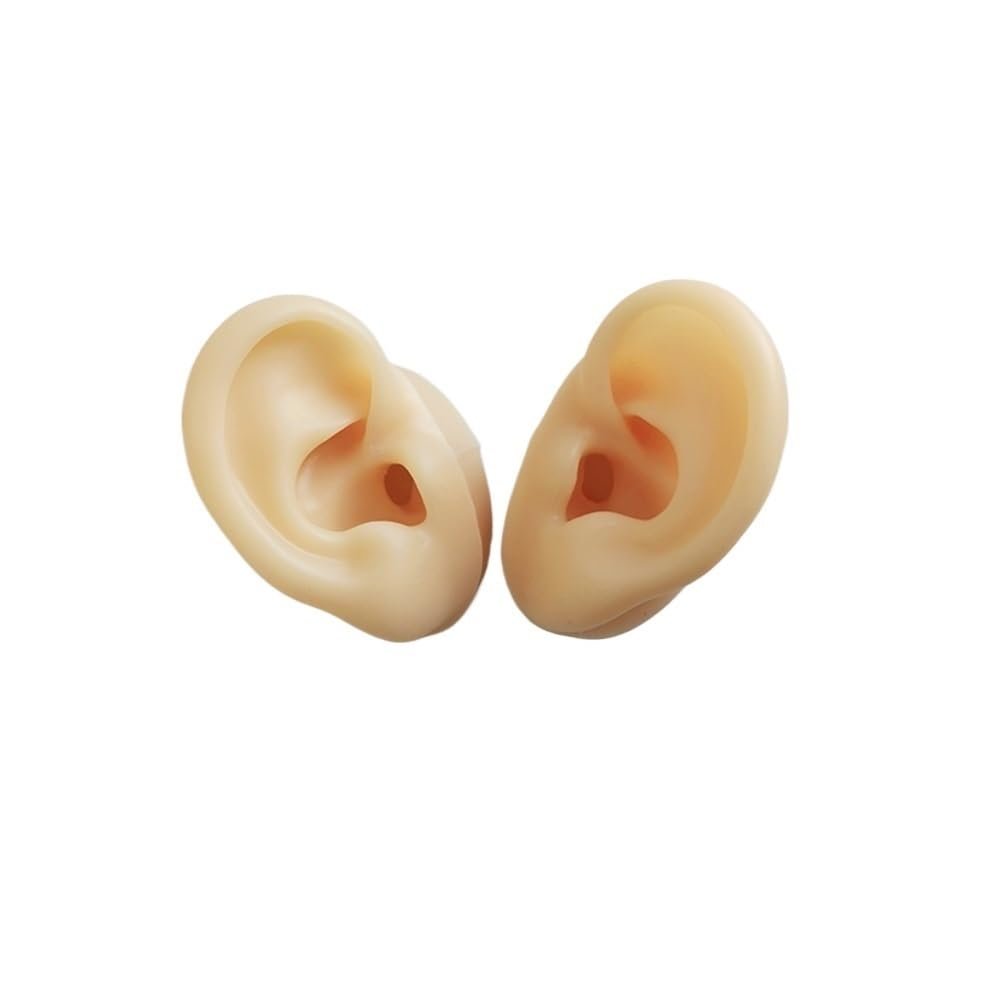 2pcs ASMR Sleep Aid Soft Silicone Ear Model Broadcast Ear Props Ear Picking Silicone Ear Model Stud Ear Jewellery Display