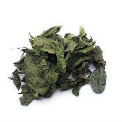 Daun Bandotan - Ageratum Conyzoides Leaf (900 Gram)