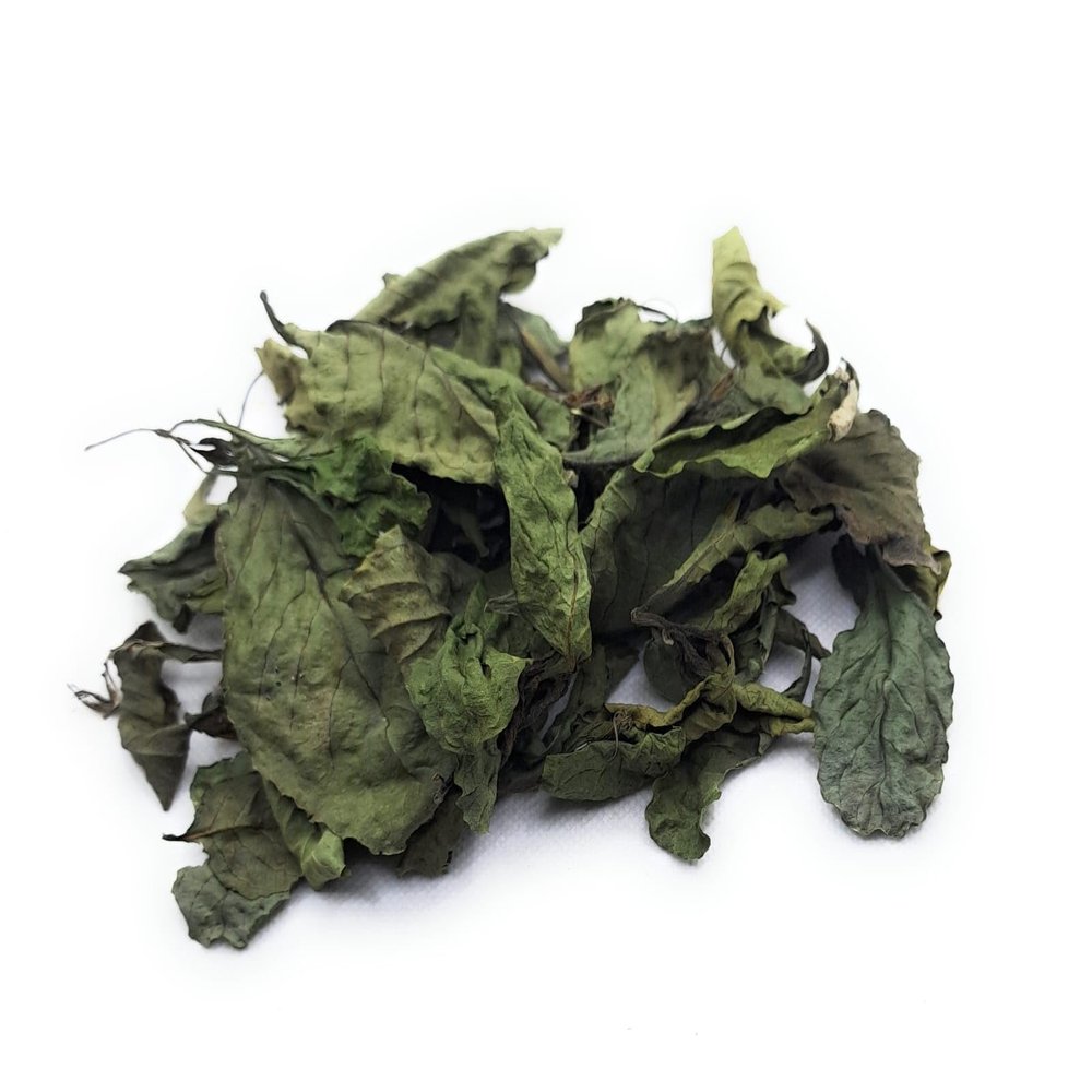 Daun Bandotan - Ageratum Conyzoides Leaf (900 Gram)