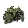 Daun Bandotan - Ageratum Conyzoides Leaf (900 Gram) view 1