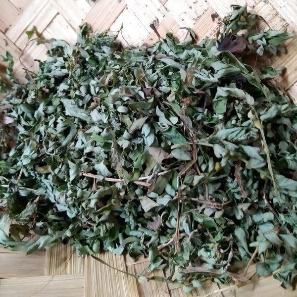 Phyllanthus Urinaria (Chamber Bitter) Dried (900 Gram)