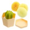 OUNONA Cute Cactus Dish Scrubber Set with Replacement Brush Heads Efficient Kitchen Cleaning Tool for Dishes Sinks and Pans and Reusable Kitchenware Cleaning Brush view 1