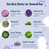 1Balance Living Unwind | Offers Stress and Mood Support, Promotes restful Sleep and Relaxation | with Lavender, Chamomile, Rose, Lemon Balm | Organic Ingredients | Rose Mint Flavor | 30 Tea Bags view 2