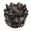 Amazing Gemstone Large Smoky Quartz Crystal Cluster Points for Meditation, Home Decor and Gift - Natural Quartz Crystals and Healing Stones for Enhance Energy with Large Crystals Points view 1