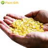 Gleditsia Sinensis 200g/7.70z (Snow Lotus Seed) Good With Peach Gum Sugar-Free Two-Sided Gleditsia Sinensis Saponin Honeylocust view 4