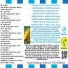 Vanilla Enchantment - Vanilla-Rosemary-Lemon Flavor Concentrate - Vegan - Sasami - 10ml view 4