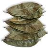 Organic Soursop Leaves | 100% Natural Dried Graviola Whole Leaves | Guanabana Hojas Loose Leaf | Caffeine Free Herbal Detox Tea | 50g view 2