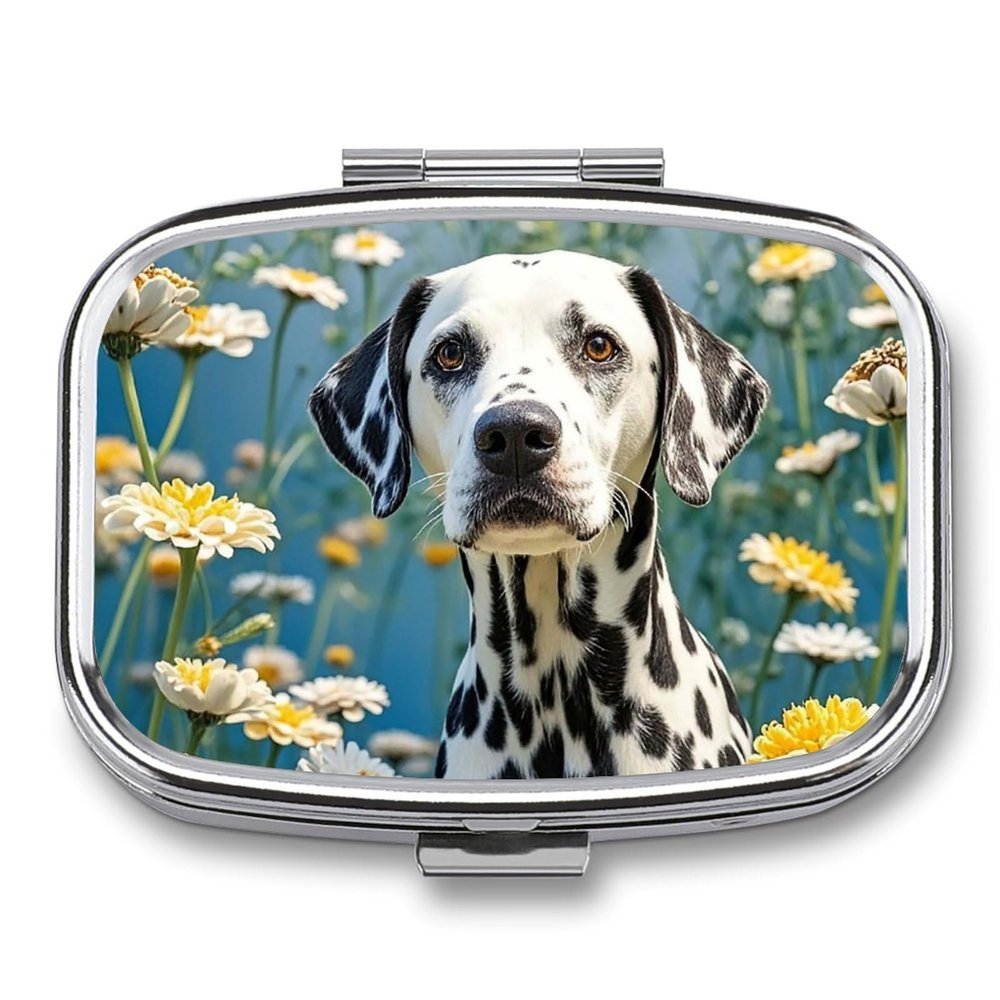 Square Pill Box Cute Dalmatian Pill Case 2 Compartment Medicine Pill Organizer for Purse & Pocket Portable Travel Pillbox Medicine Vitamin Cod Liver Oil Storage Box Organizer