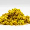 Ameen Everlasting Flower Helichrysum Immortelle Dried Flowers, 20g | Wild Harvested Herb for Tea view 3
