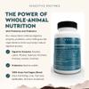 Ancestral Supplements Digestive Enzymes for Women & Men, 90 Capsules, with Probiotics and Grass Fed Beef Organs, Supports Gut Health, Digestive Health & Nutrient Absorption, Allergen Free, Non GMO view 2