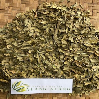 Daun Asam Jawa - Tamarindus Indic Dried Leaf (200 Gram)