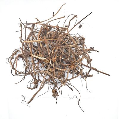 Akar Purwaceng - Pimpinella Pruatjan Dried Root (200 Gram)