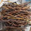 Akar Aren - Arenga pinnata Dried Root (80 Gram) view 1