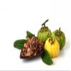 Asam gelugur - Garcinia atroviridisfructus (80 Gram) view 3