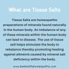 Homeopathic Tissue/Cell Salts Bundle 3X, Dr. Schuessler Cell Salts Full Size Product 900 Tablets Each x 12. view 2