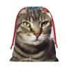 GDSHJKLW American Cat Usa Flag Christmas Drawstring Gift Bags Christmas Wrapping Bags Xmas Treats Bags Goody Sweet Treat Candy Bags Christmas Party Favor Pouch (Large Medium Small) view 1