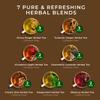 Gya Tea Co Purely Herbal Tea Pod Collection Gift Set (16 Count) - Different Flavors Assorted Variety Pack view 3