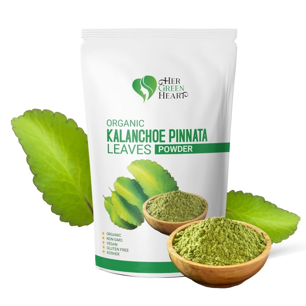 Kalanchoe Pinnata Leaves Powder Herbal Tea - 100% Pure, Organic Ground Powder for Natural Use in Cooking and DIY Projects