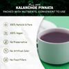 Kalanchoe Pinnata Leaves Powder Herbal Tea - 100% Pure, Organic Ground Powder for Natural Use in Cooking and DIY Projects view 3
