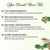 Kalanchoe Pinnata Leaves Powder Herbal Tea - 100% Pure, Organic Ground Powder for Natural Use in Cooking and DIY Projects view 4